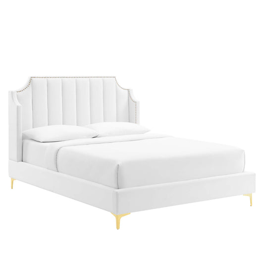 Modway Outlet Daniella Performance Velvet Queen Platform Bed by Modway  Bedroom Furniture White - MOD-6412-WHI