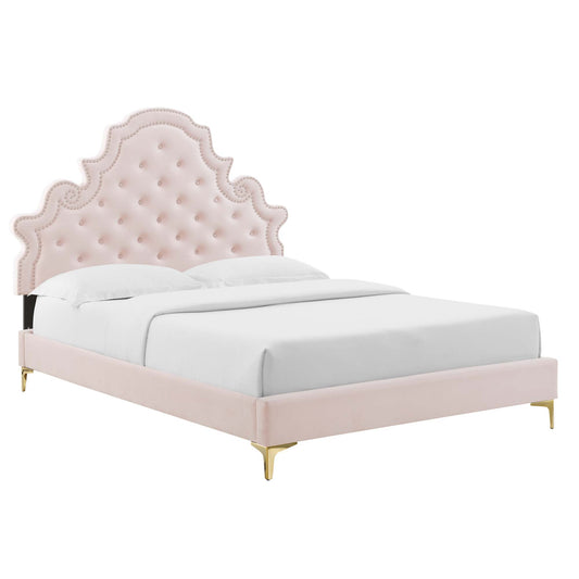 Modway - Gwyneth Tufted Performance Velvet Queen Platform Bed by Modway  Bedroom Beds Red - MOD-6751-PNK