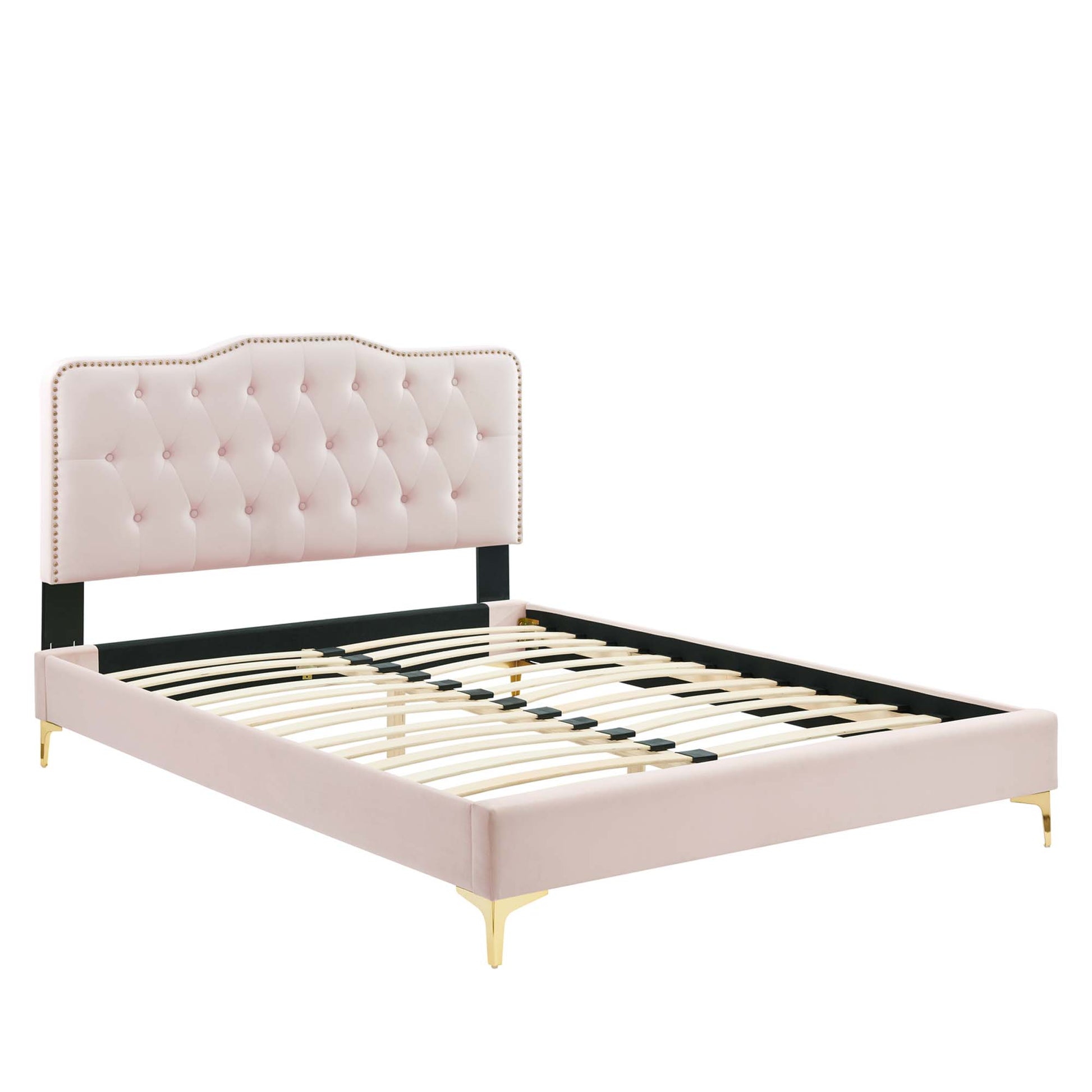 Pink tufted upholstered twin platform bed with curved headboard, black side rails, gold legs and slatted foundation.