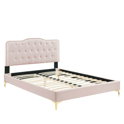 Pink tufted upholstered twin platform bed with curved headboard, black side rails, gold legs and slatted foundation.