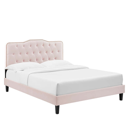 Modway - Amber Performance Velvet Twin Platform Bed by Modway  Bedroom Beds Red - MOD-6780-PNK
