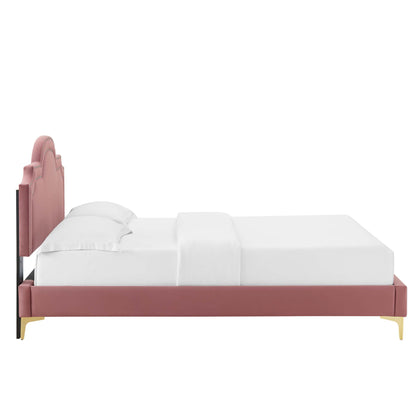 Modway Outlet Aviana Performance Velvet King Bed by Modway  Bedroom Furniture Dusty Rose - MOD-6834-DUS