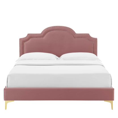 Modway Outlet Aviana Performance Velvet King Bed by Modway  Bedroom Furniture Dusty Rose - MOD-6834-DUS