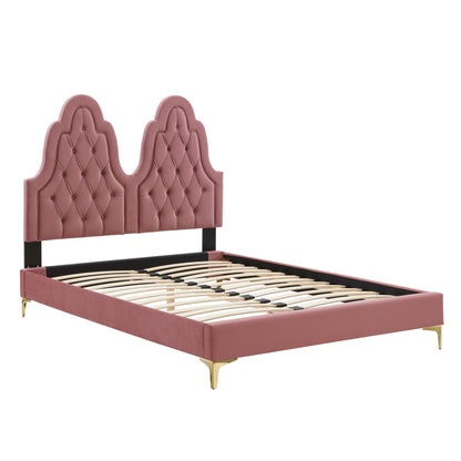Modway Outlet Alexandria Tufted Performance Velvet Twin Platform Bed by Modway  Bedroom Furniture Dusty Rose - MOD-6931-DUS