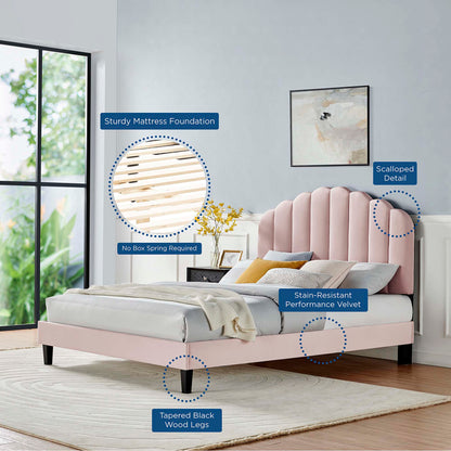 Pink velvet platform bed with scalloped headboard, tapered black wood legs, modern bedroom style.