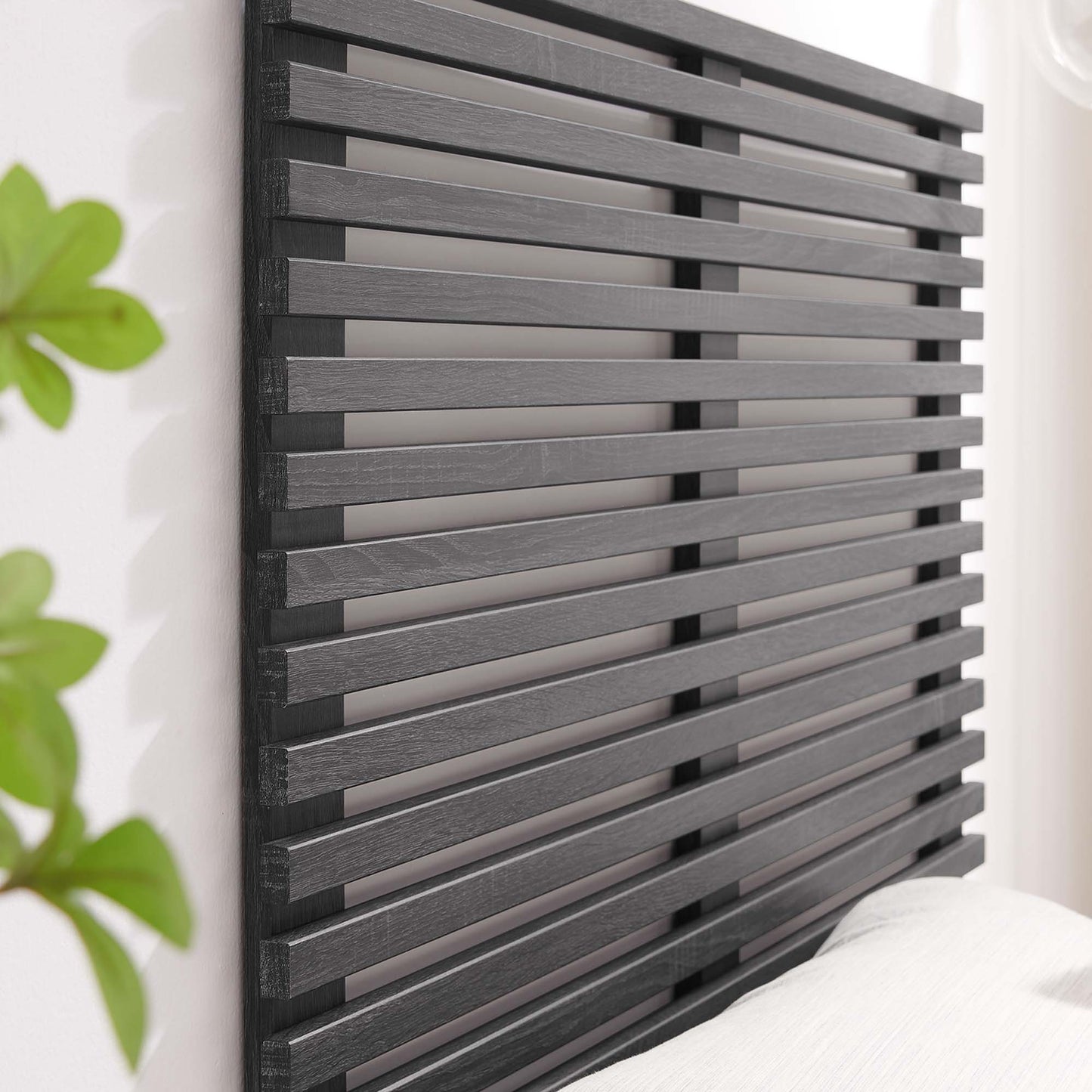 Modway Outlet Render Wall Mount Twin Headboard by Modway  Bedroom Furniture Charcoal - MOD-7061-CHA