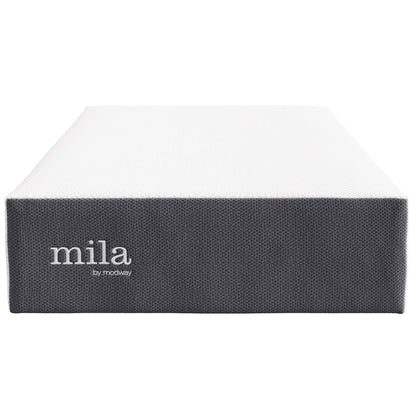 Modway Outlet Mila 12" Twin Mattress by Modway  Mattresses Furniture White - MOD-7102-WHI
