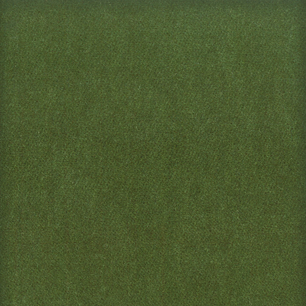 STOUT TEXTILES  UPHOLSTERY,VELVET TRADITIONAL, SOLID BOXWOOD   - MOOR-14