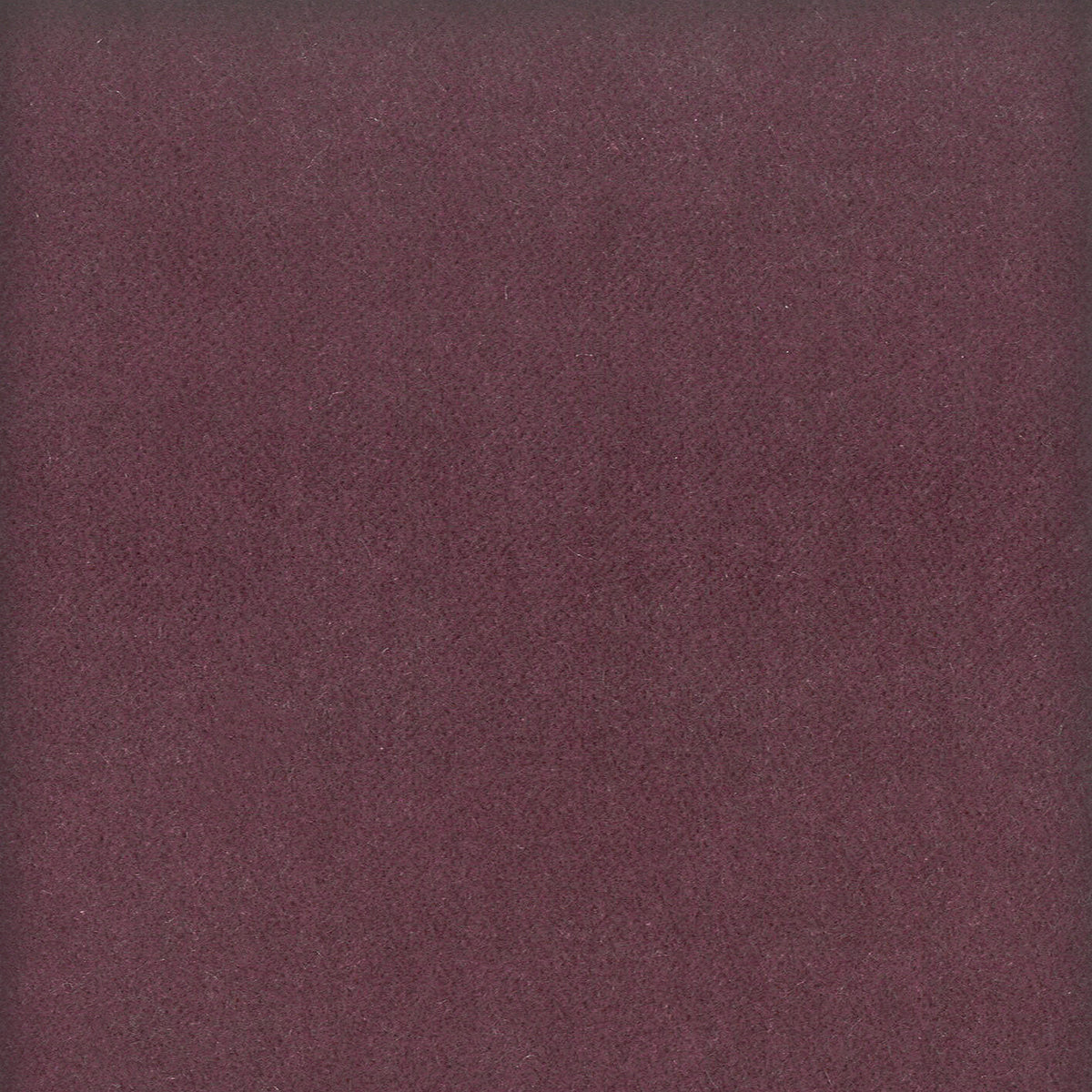 STOUT TEXTILES  UPHOLSTERY,VELVET TRADITIONAL, SOLID PLUM   - MOOR-15