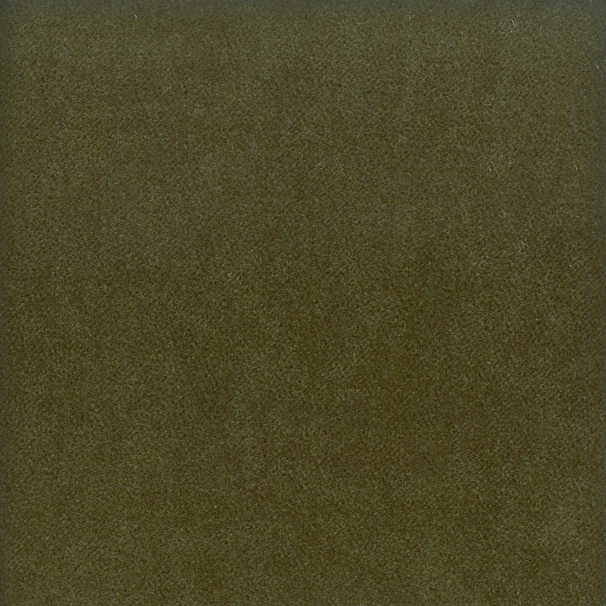 STOUT TEXTILES  UPHOLSTERY,VELVET TRADITIONAL, SOLID JUNGLE   - MOOR-2