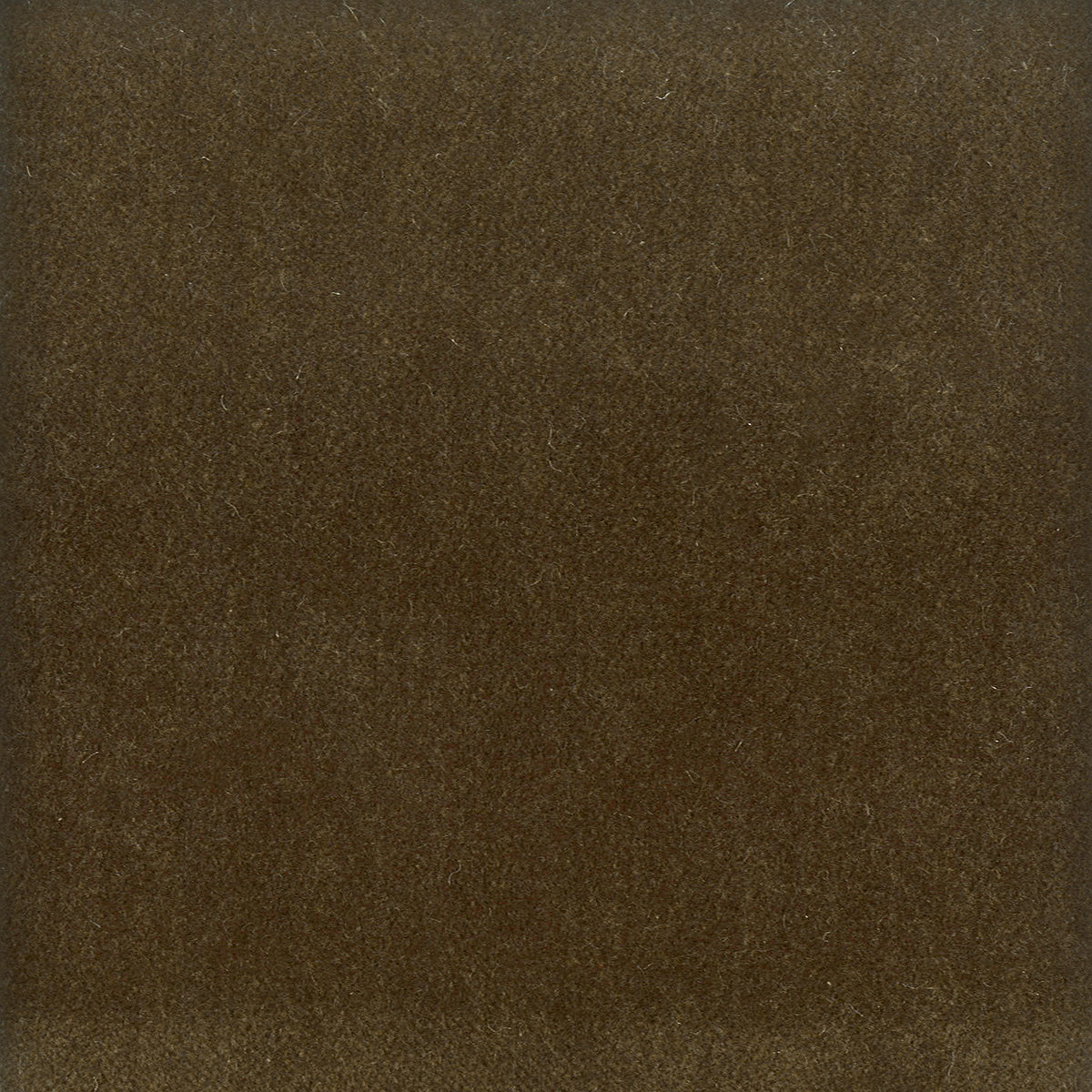 STOUT TEXTILES  UPHOLSTERY,VELVET TRADITIONAL, SOLID TWIG   - MOOR-6