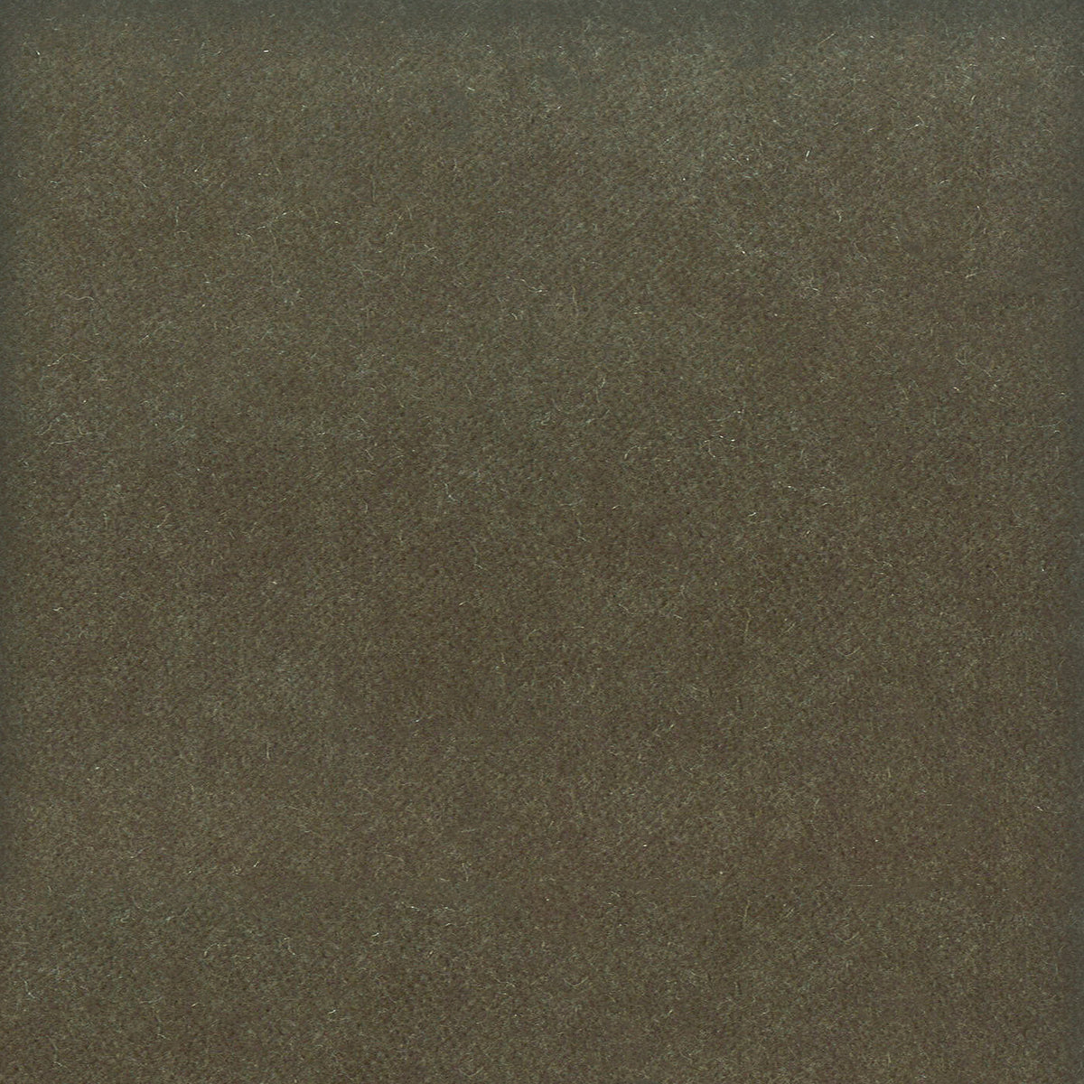 STOUT TEXTILES  UPHOLSTERY,VELVET TRADITIONAL, SOLID SHADOW   - MOOR-8