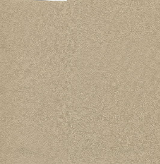 NICHOLASJOHN INC NJ-MARY Conch Shell Solid   Fabric - NJ25-2095