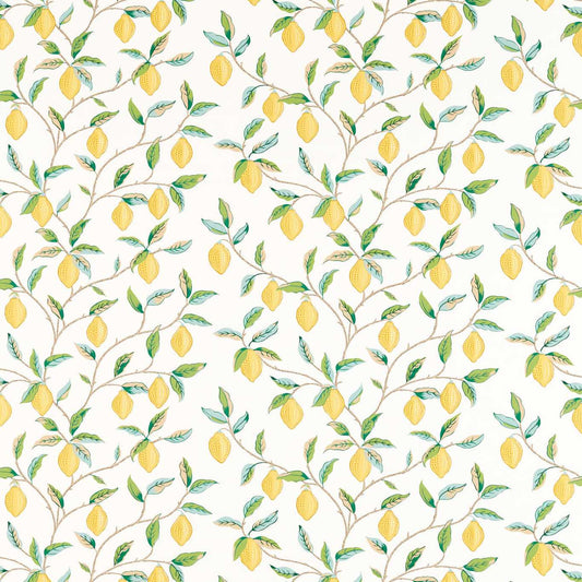 MORRIS & CO Lemon Tree Fabric Leaves , Trees Lemon Tree Lemon, Bayleaf   - MSIM226909