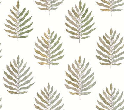 York Wallcoverings Montecito Miramar Desert Palm Wallpaper Coastal Botanical Greens   - MT5603