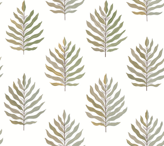 York Wallcoverings Montecito Miramar Desert Palm Wallpaper Coastal Botanical Greens   - MT5603