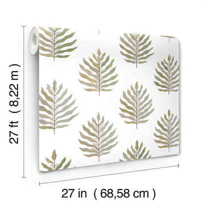 York Wallcoverings Montecito Miramar Desert Palm Wallpaper Coastal Botanical Greens   - MT5603