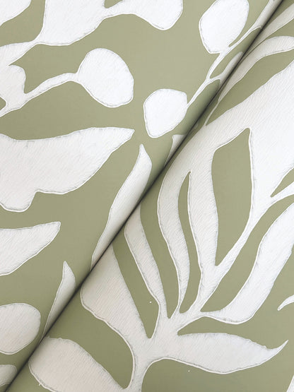 York Wallcoverings Montecito Olive Mill Palm Wallpaper Coastal Botanical Greens   - MT5614