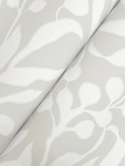 York Wallcoverings Montecito Olive Mill Salt Wallpaper Coastal Botanical Greys   - MT5615