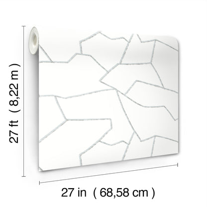 York Wallcoverings Montecito Suite Style Dolphin Wallpaper Modern Geometrics Whites and Off-Whites   - MT5621