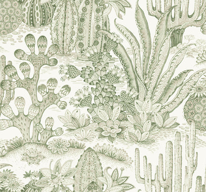 York Wallcoverings Montecito Lotus Land Cacti Palm Wallpaper Eclectic Novelty Greens   - MT5631