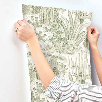 York Wallcoverings Montecito Lotus Land Cacti Palm Wallpaper Eclectic Novelty Greens   - MT5631