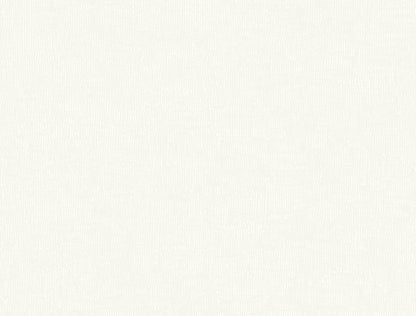 York Wallcoverings Montecito Trabadillo Plaster Egg Shell Wallpaper Transitional Small Prints Whites and Off-Whites   - MT5662