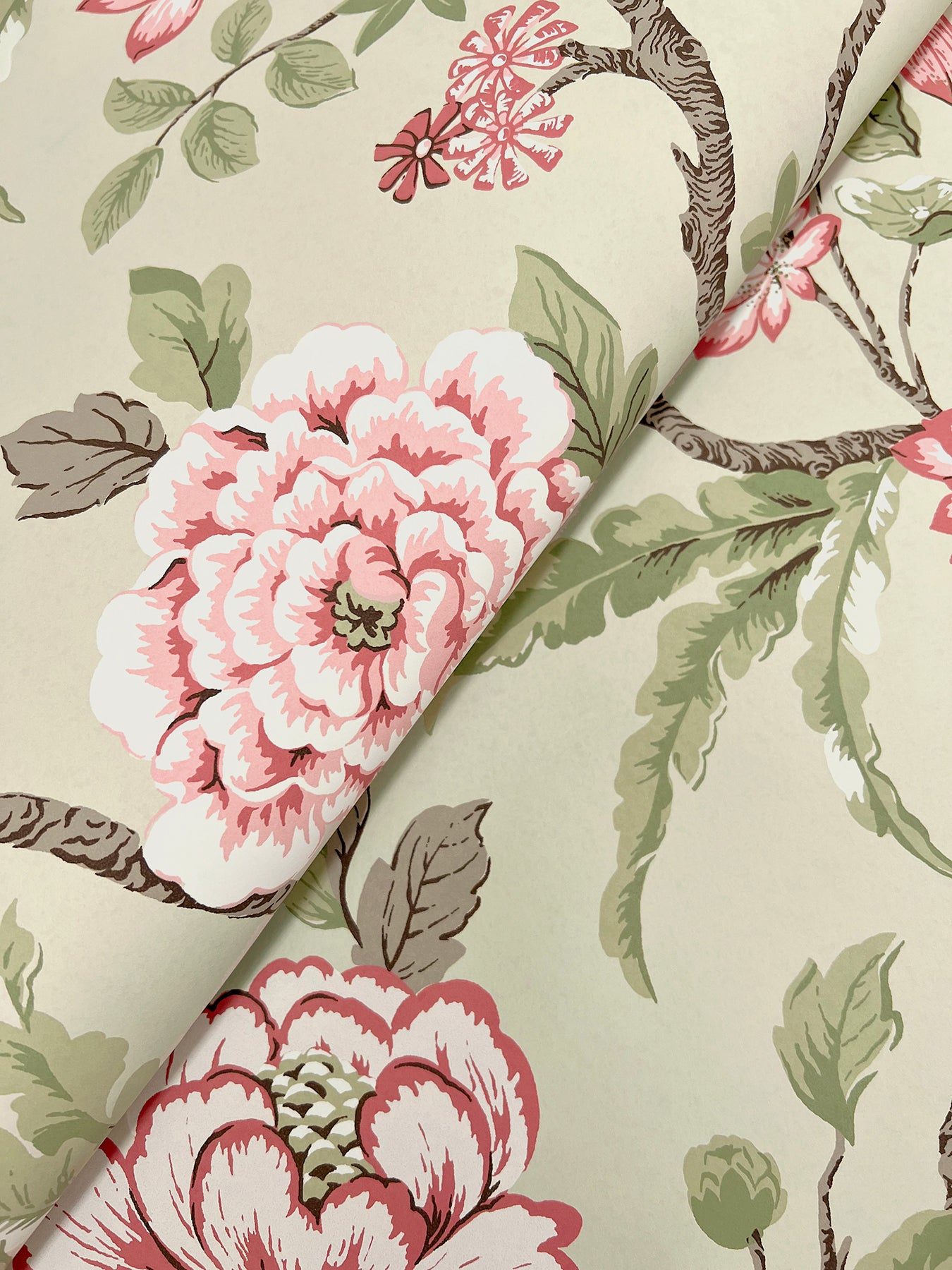 York Wallcoverings Astoria Courtyard Botanical Pink Wallpaper Traditional Botanical Pinks   - MX9653