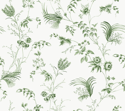 York Wallcoverings Astoria Floral Lace Green Wallpaper Traditional Florals Greens   - MX9680