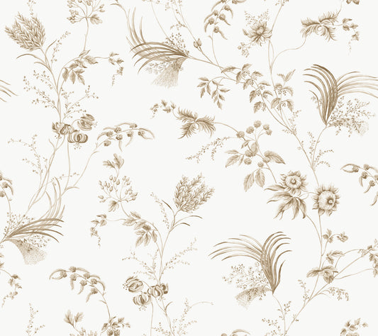 York Wallcoverings Astoria Floral Lace Taupe Wallpaper Traditional Florals Neutrals   - MX9681