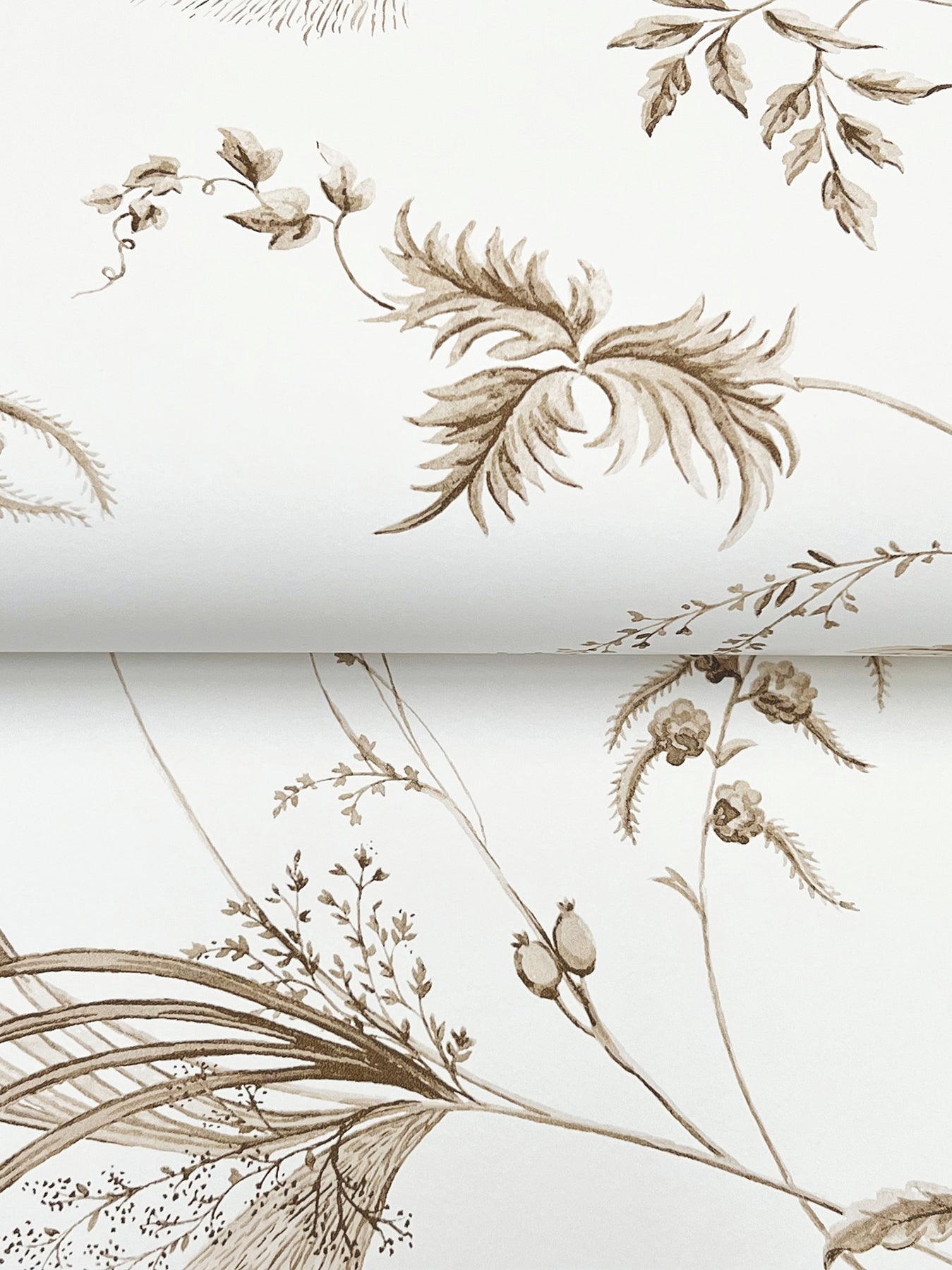 York Wallcoverings Astoria Floral Lace Taupe Wallpaper Traditional Florals Neutrals   - MX9681