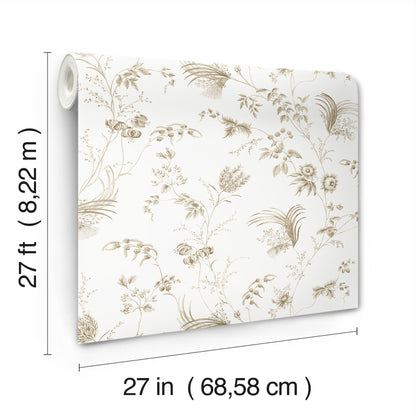 York Wallcoverings Astoria Floral Lace Taupe Wallpaper Traditional Florals Neutrals   - MX9681