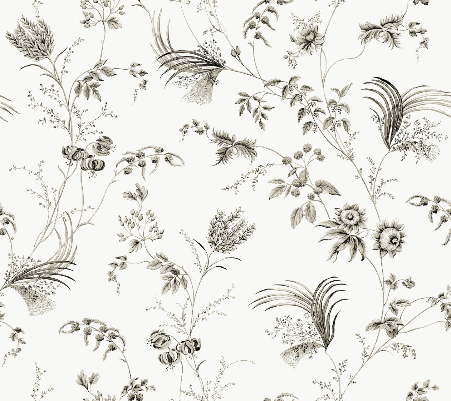 York Wallcoverings Astoria Floral Lace Black Wallpaper Traditional Florals Blacks   - MX9682