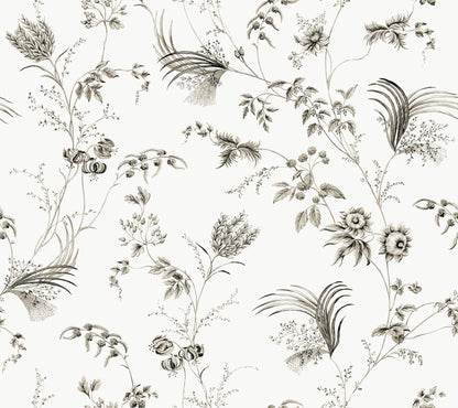 York Wallcoverings Astoria Floral Lace Black Wallpaper Traditional Florals Blacks   - MX9682