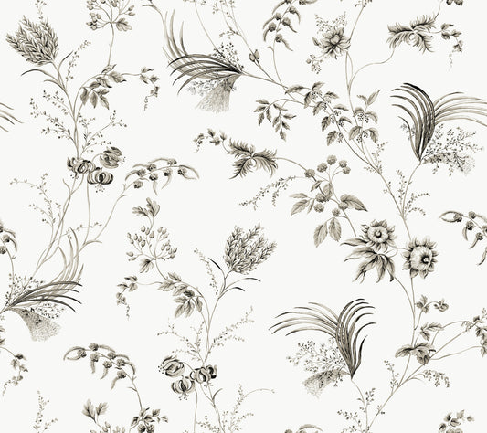 York Wallcoverings Astoria Floral Lace Black Wallpaper Traditional Florals Blacks   - MX9682