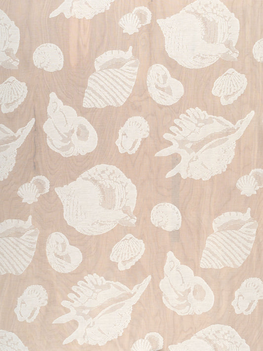 SCALAMANDRE OUTLET  FABRIC SHEER SHELLS  FABRIC NATURAL   - MY 00031341 NEW SKU # MY13410003