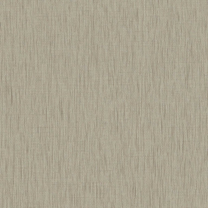 Natural Light - Didi - DID62