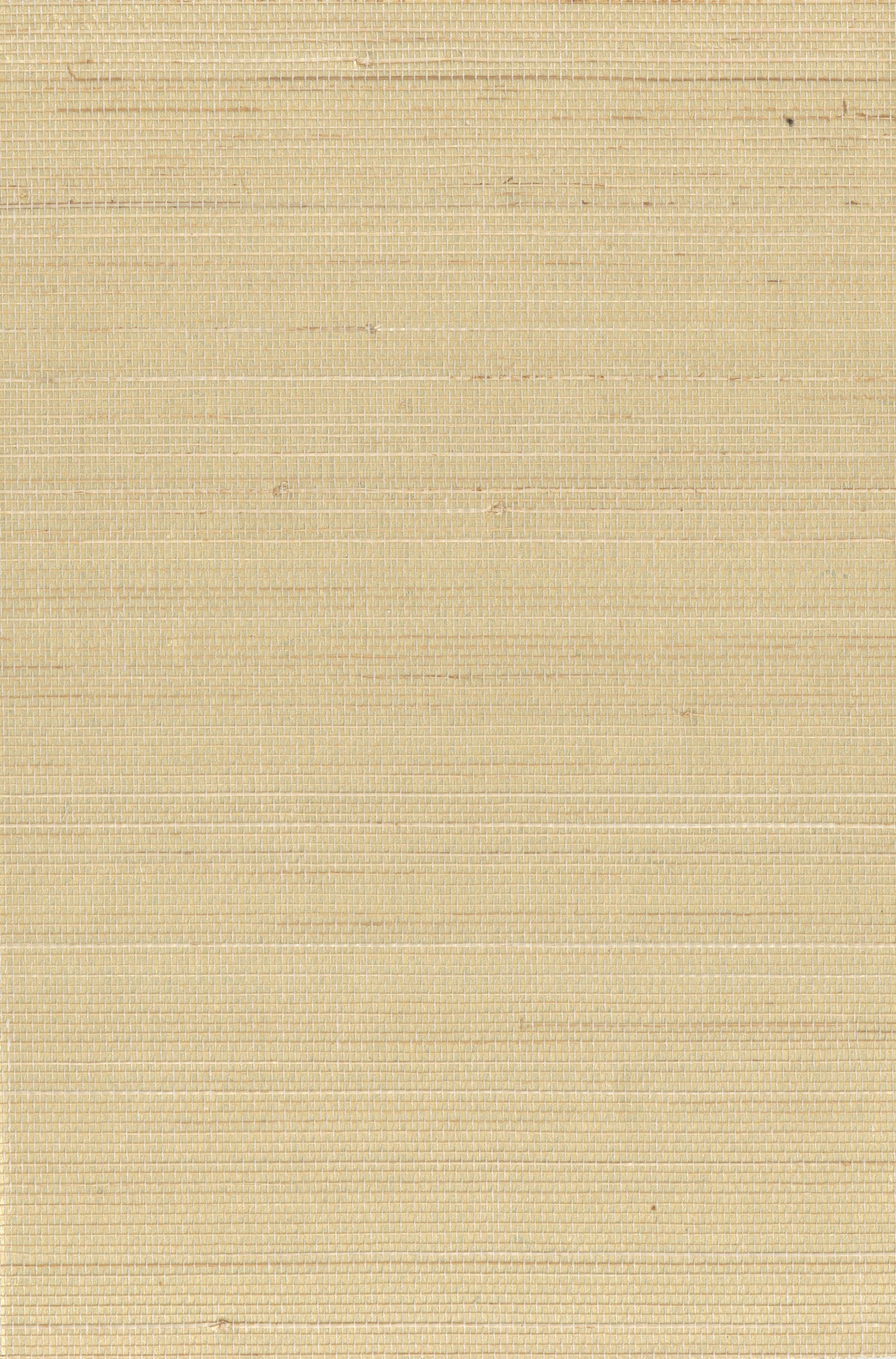 NICHOLASJOHN INC. Natural - Textured Wallcoverings  ABACA      - NJ25NA0007