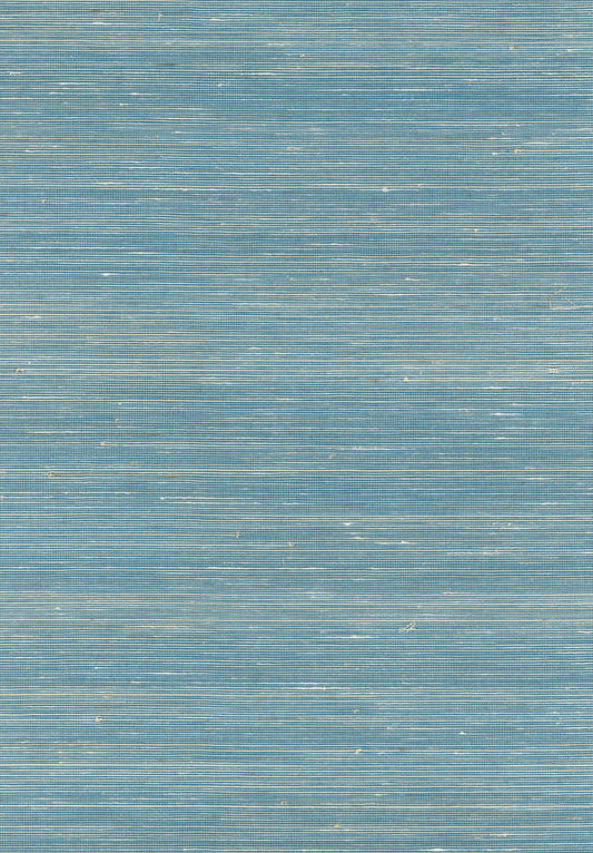 NICHOLASJOHN INC. Natural - Textured Wallcoverings ABACA      - NJ25NA0075