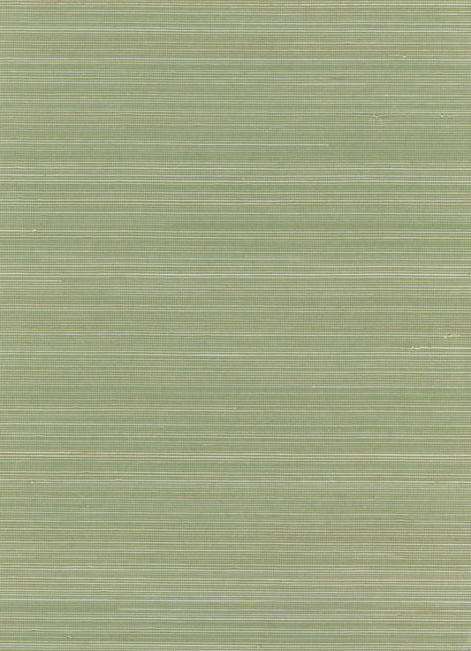 NICHOLASJOHN INC. Natural - Textured Wallcoverings ABACA      - NJ25NA0130