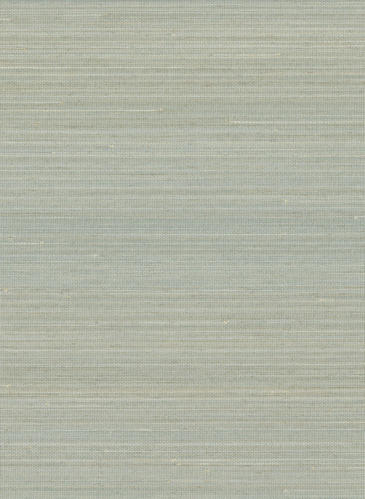 NICHOLASJOHN INC. Natural - Textured Wallcoverings ABACA      - NJ25NA2038