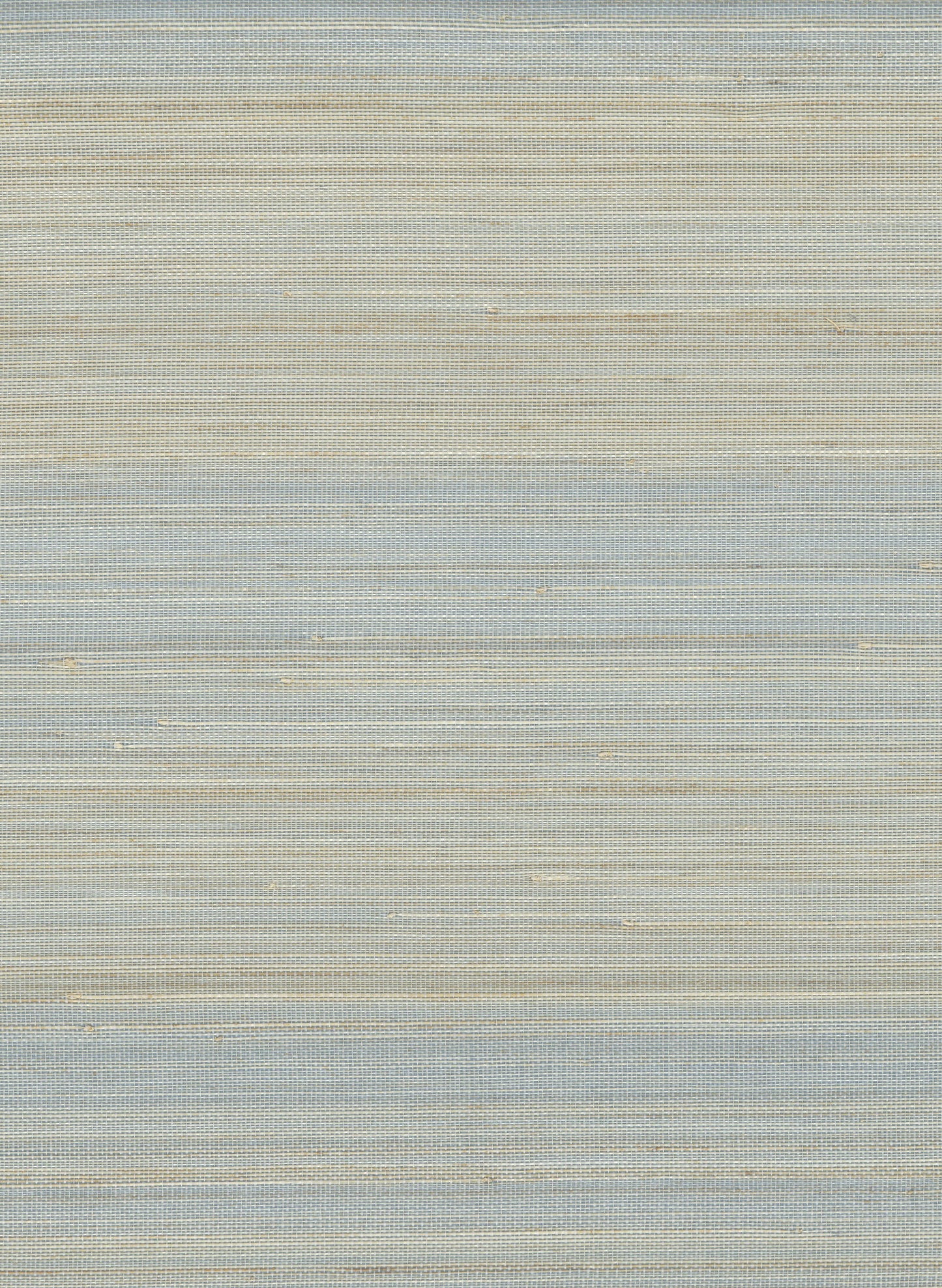 NICHOLASJOHN INC. Natural - Textured Wallcoverings ABACA      - NJ25NA2053