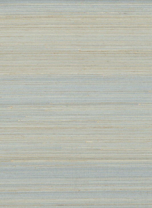 NICHOLASJOHN INC. Natural - Textured Wallcoverings ABACA      - NJ25NA2053