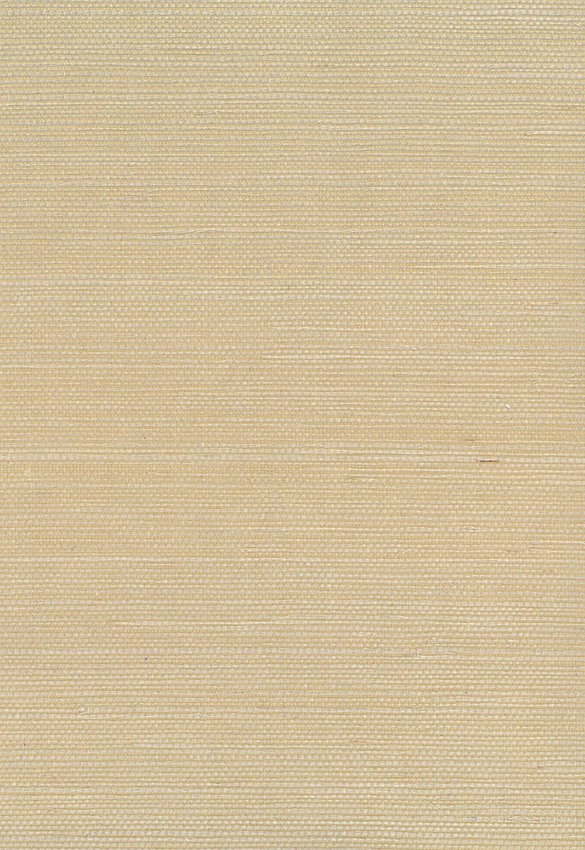 Seabrook Designs Natural Resource Sisal Grasscloth Contemporary Tan Matte Sidewall - NA206