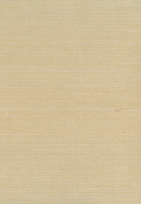 Seabrook Designs Natural Resource Sisal Grasscloth Contemporary Tan Matte Sidewall - NA206