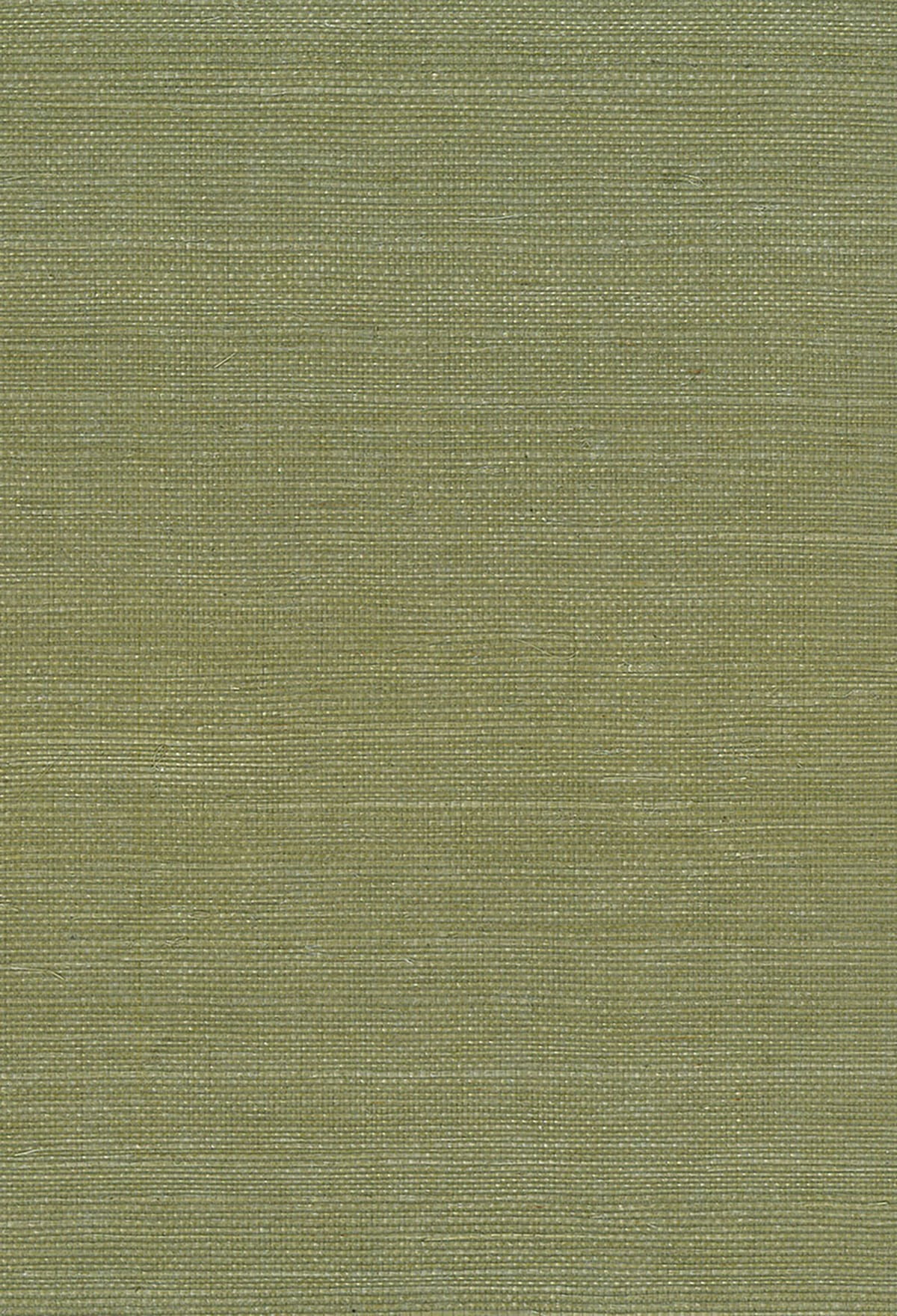 Seabrook Designs Natural Resource Sisal Grasscloth Contemporary Green Matte Sidewall - NA208