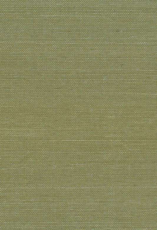 Seabrook Designs Natural Resource Sisal Grasscloth Contemporary Green Matte Sidewall - NA208