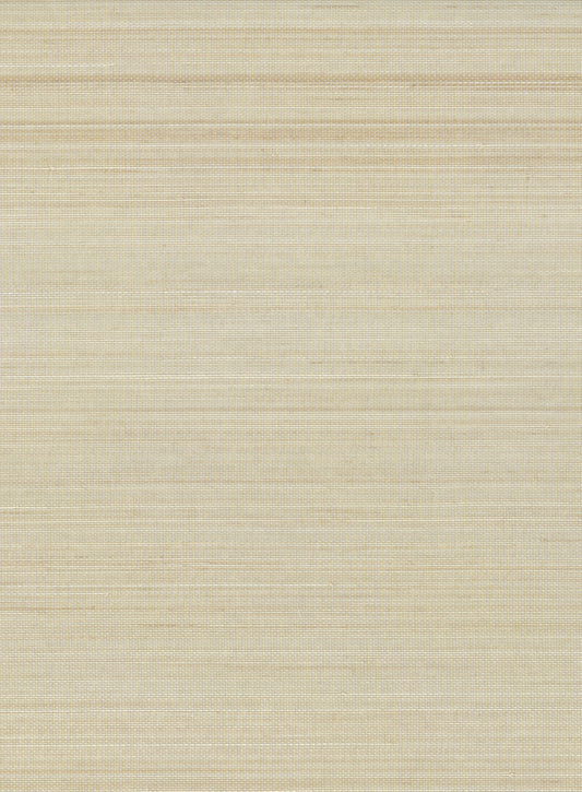 NICHOLASJOHN INC. Natural - Textured Wallcoverings  ABACA      - NJ25NA2087
