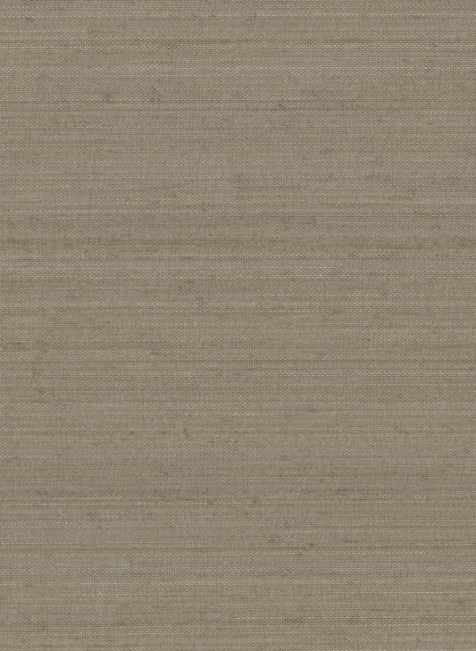 NICHOLASJOHN INC. Natural - Textured Wallcoverings  ABACA      - NJ25NA2091