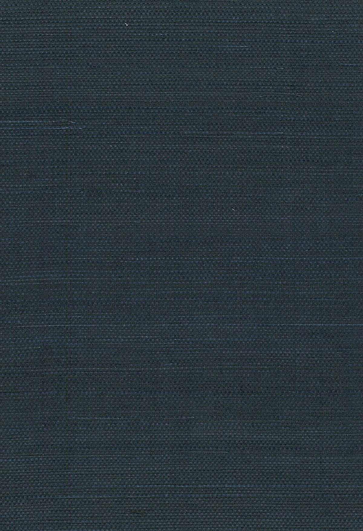 Seabrook Designs Natural Resource Sisal Grasscloth Contemporary Blue Matte Sidewall - NA210